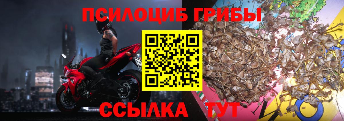 Галлюциногенные грибы MAGIC MUSHROOMS  Вход с VPN  Донецк  Галлюциногенные грибы MAGIC MUSHROOMS 