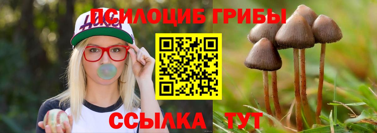 Псилоцибиновые грибы GOLDEN TEACHER Донецк